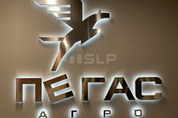 Портфолио
