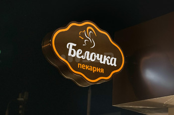 Портфолио