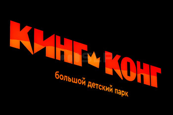 Портфолио