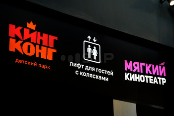Портфолио